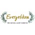 EVERGETIKON