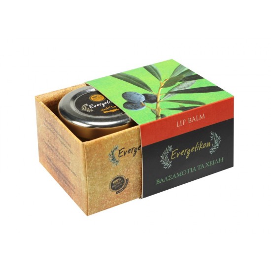 EVERGETIKON - Βάλσαμο Χειλιών – Lip Balm με Αιθέρια Έλαια Μανταρίνι, Πορτοκαλί και Κανέλα 25ml
